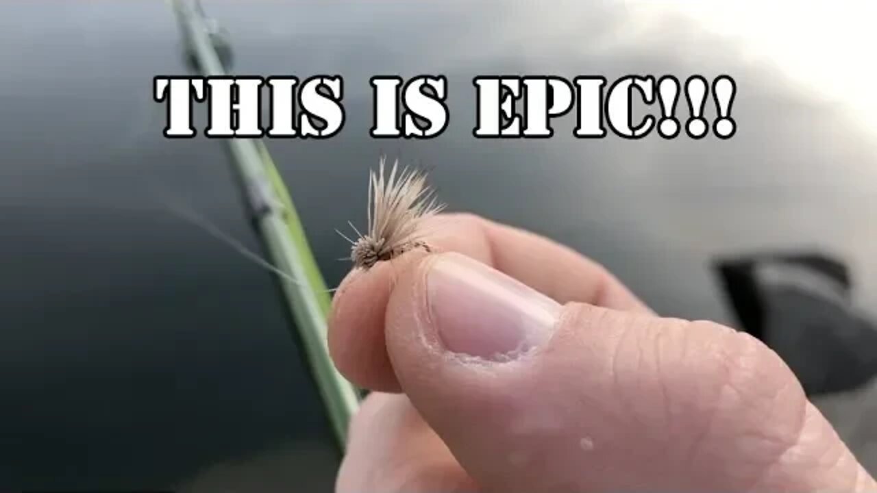 How to fly fish in a mile high crater lake...