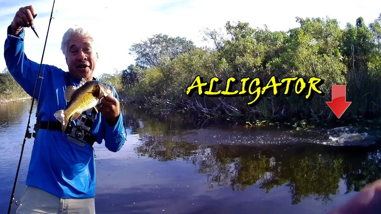 Fishing Alligator Alley! The RAMPS ARE FINALLY OPEN!!!