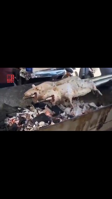New York City: Rats Are Now Being Cooked For Food In The Streets