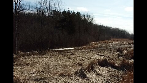 Dangerous chemicals found on properties in Holly Twp., neighbors blame nearby development