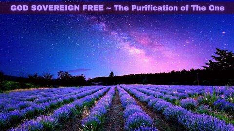 GOD SOVEREIGN FREE ~ The Purification of The One ~ SOUL TEAM AWAKENING