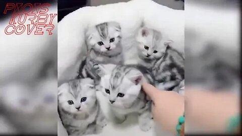 Asop Rock, KURBY COVER,P!O!S