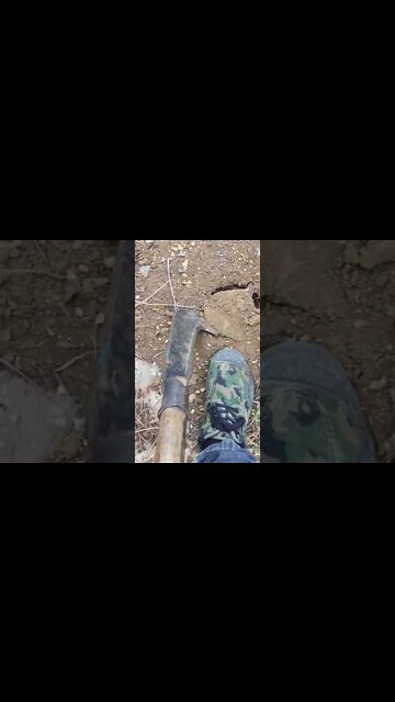 #shorts #2022 funny,prank,funjokes,dad jokes,funny memes,funny video,fun,laughing,funny animal,knock