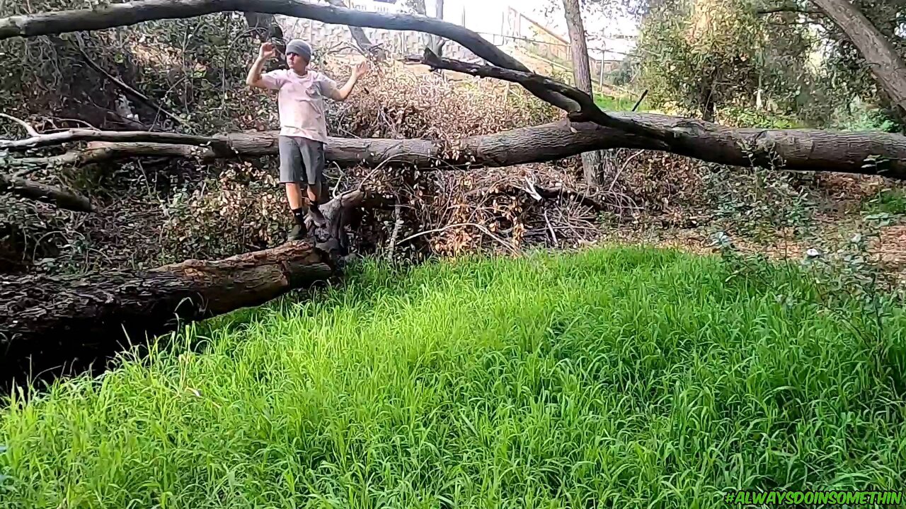 First adventure new property