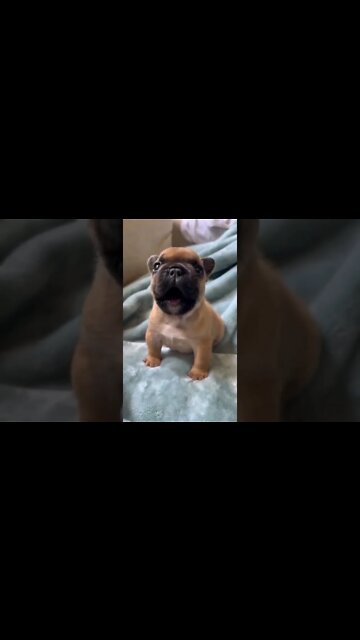 Pick Me, Choose Me, Love Me