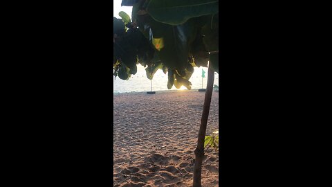 Sunset with you
