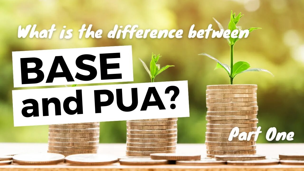 Whole Life Insurance: What is the difference between Base and PUA? (Part One)