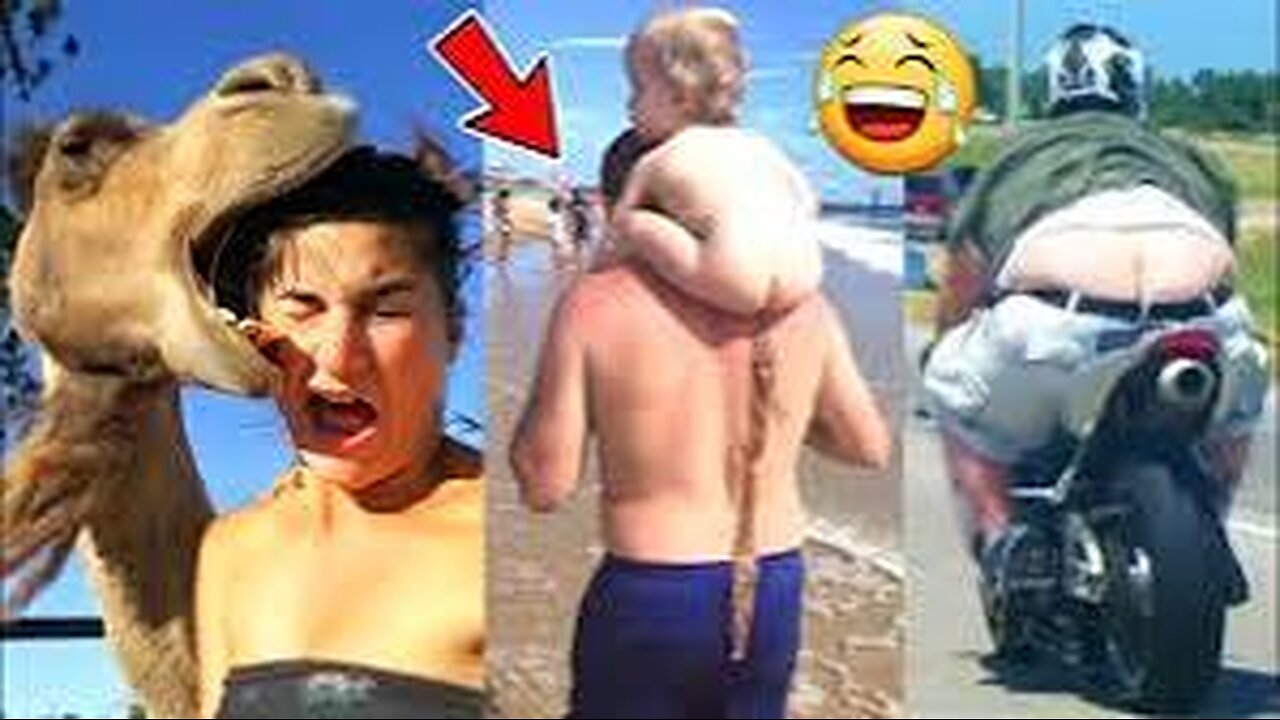 Try Not To Laugh Funny Videos - The Most Unexpected funny Moments