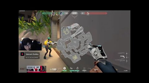 TenZ moment
