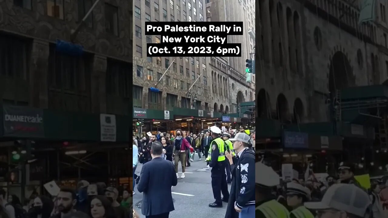 Pro Palestine Rally in New York City Yesterday