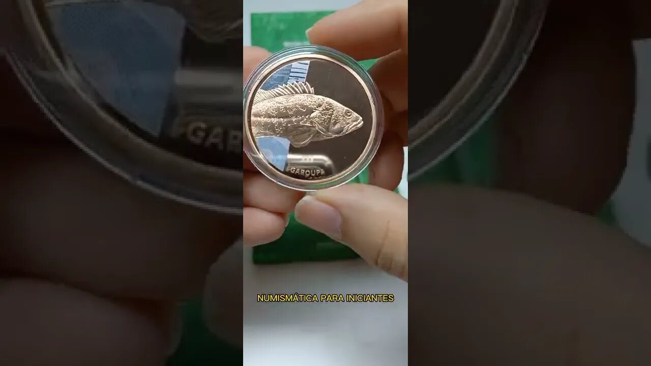MEDALHA BICHOS DO REAL EM BRONZE GAROUPA #shorts #numismatica #medalha #casadamoeda #colecionismo