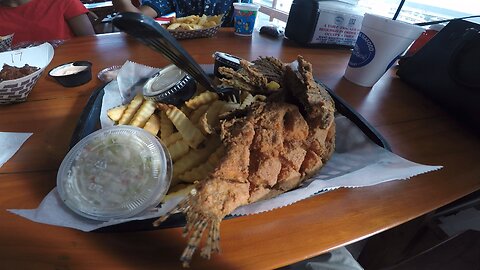 Blasian Babies Family Lunch At Jacksonville Beach Dockside Restaurant And Stopped By Beach Marine!