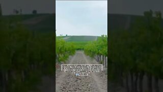🇮🇹 Toscana
