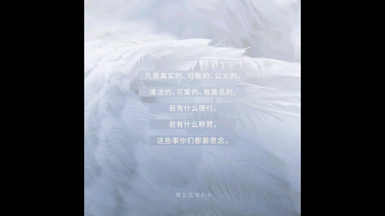 分享今日经文。 愿主与我们同在。阿门