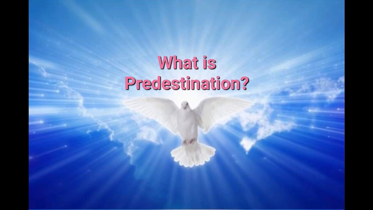 What is Predestination?