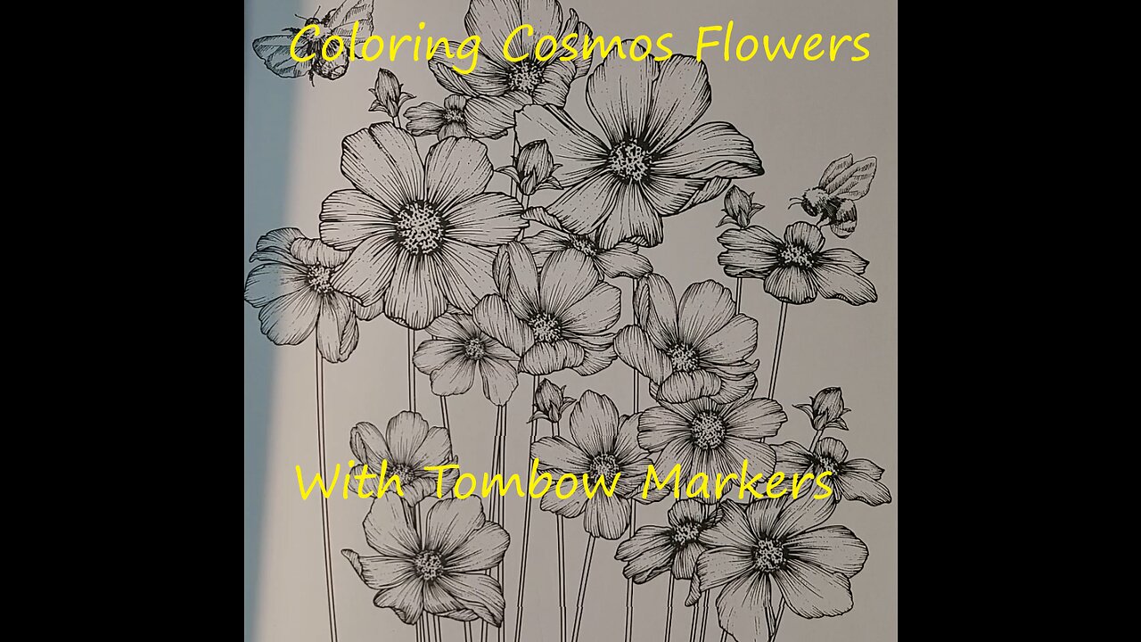 Coloring Cosmos Flowers! (With Relaxing Music)