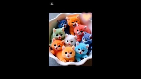 cute colourfull cats