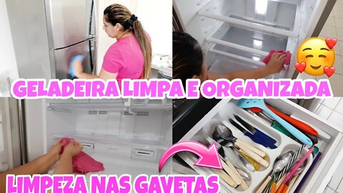 Limpeza na geladeira + Limpeza nas gavetas da pia