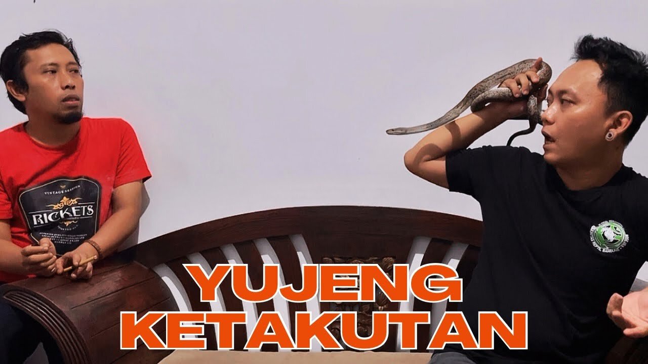 DANGEROUS CONTENT !! YUJENG IS ALREADY PATCHED BY THE SNAKE #JENGKOL