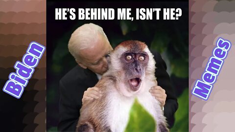 Even More Stupid Biden Memes 😂