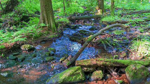 Ilbeshausen-Hochwaldhausen in the Vogelsberg mountains