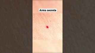 Arma secreta