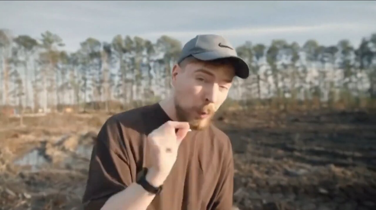 In Defence of Mr. Beast