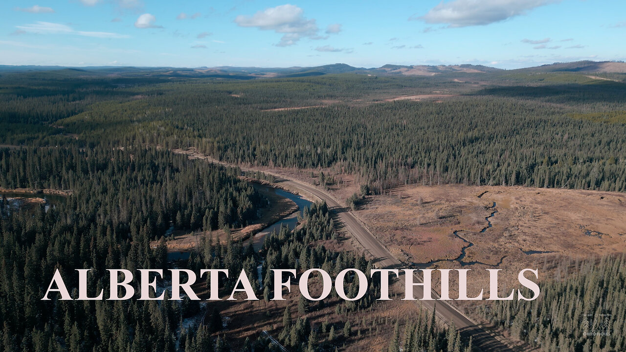 Alberta Foothills In the Fall