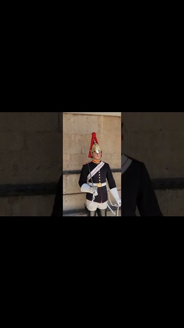 the queens guard the blues and royals #horseguardsparade