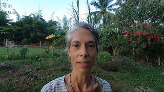 Day 32 High Energy Plasma Cleanse