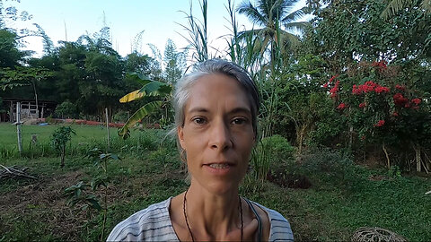 Day 32 High Energy Plasma Cleanse