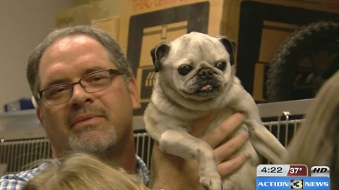 In The classroom: Students get hands-on training in vet program