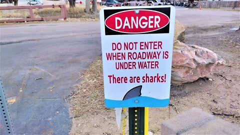 SHARK SIGN