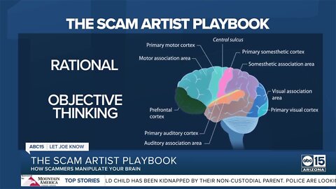 The Scam Artist Playbook: How scammers confuse your brain, so you say 'yes'