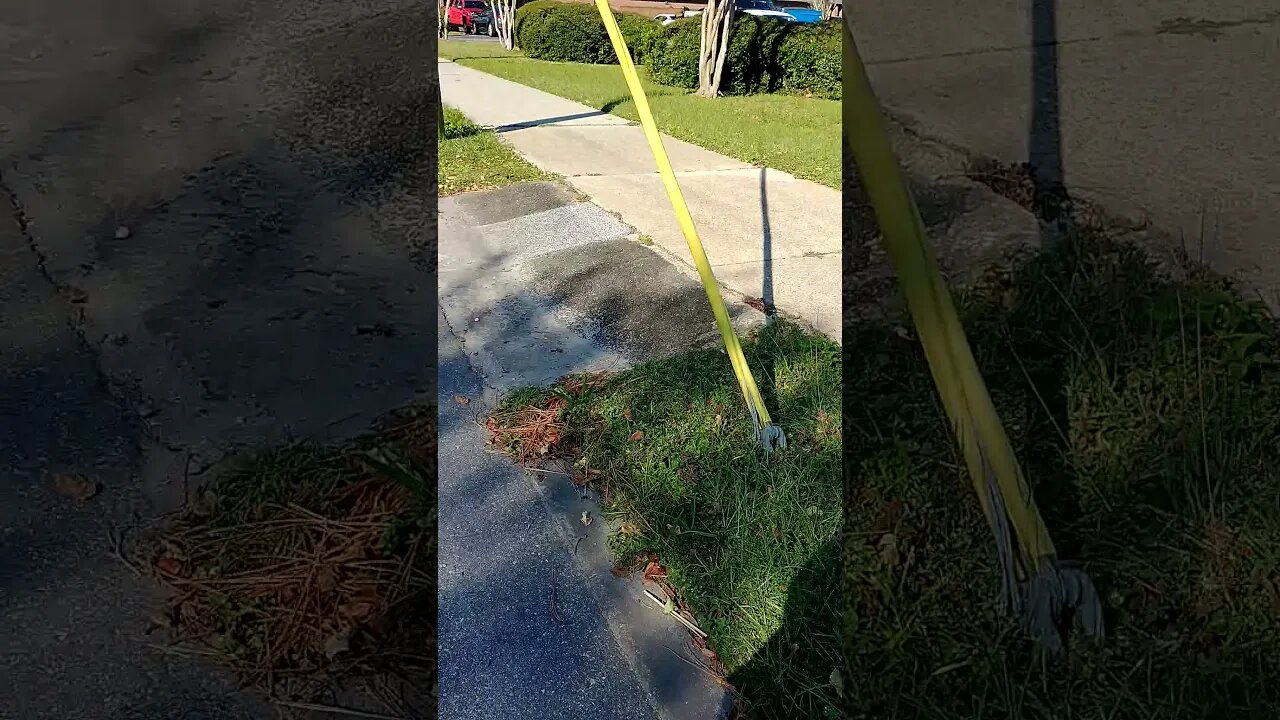 Gang Stalking Perp Walk 11/03/2021