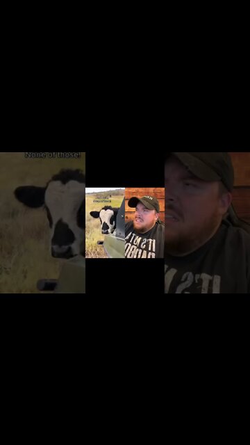 Here’s Your Dose Of REALarious…🤣🤣🤣 with Karli Kat