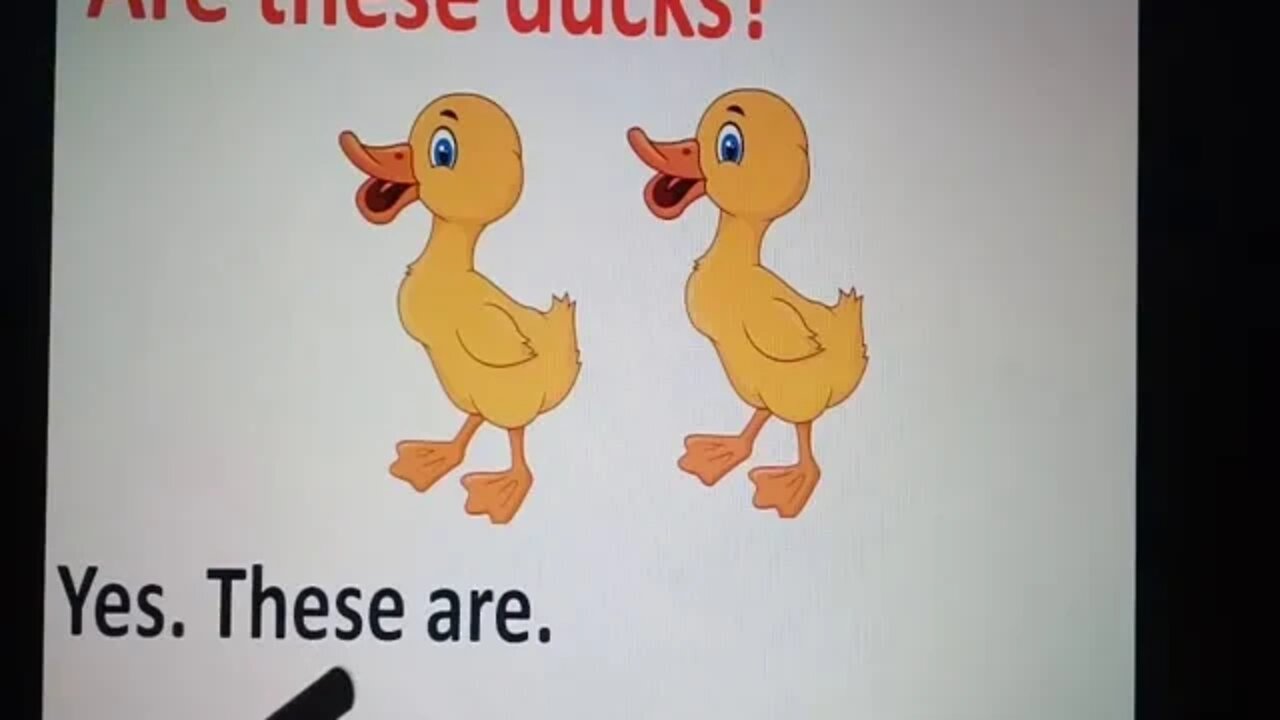 Prep English Book reading pg# 19