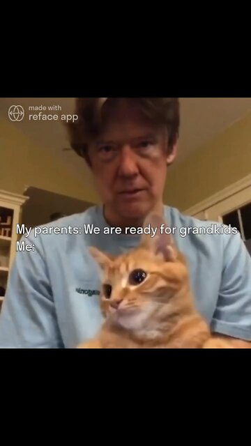 The Ultimate Donald Trump Cat Meme! 🐈