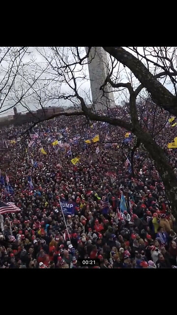 January 6 - The Crowd the MSM will Never Show You