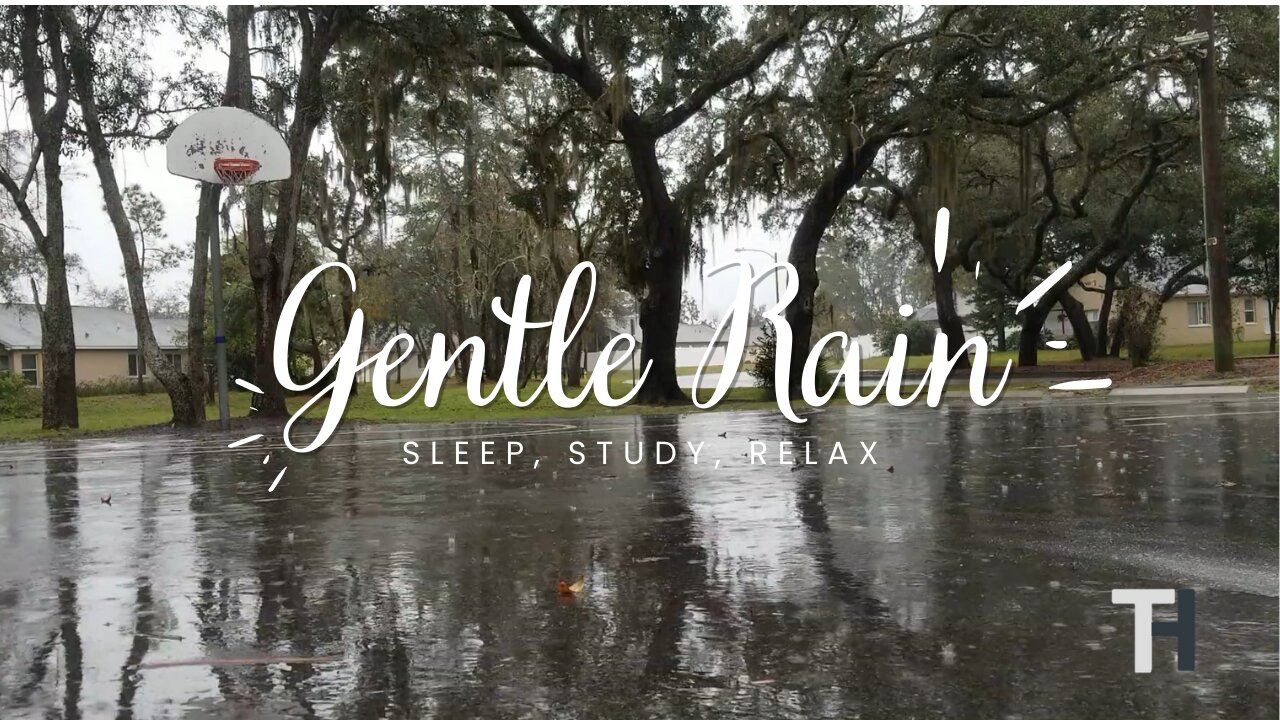 Relaxing Soft Rain Sound for Sleeping - 1 HOUR Pink Noise Gentle Rain I Insomnia l Sleep l Study