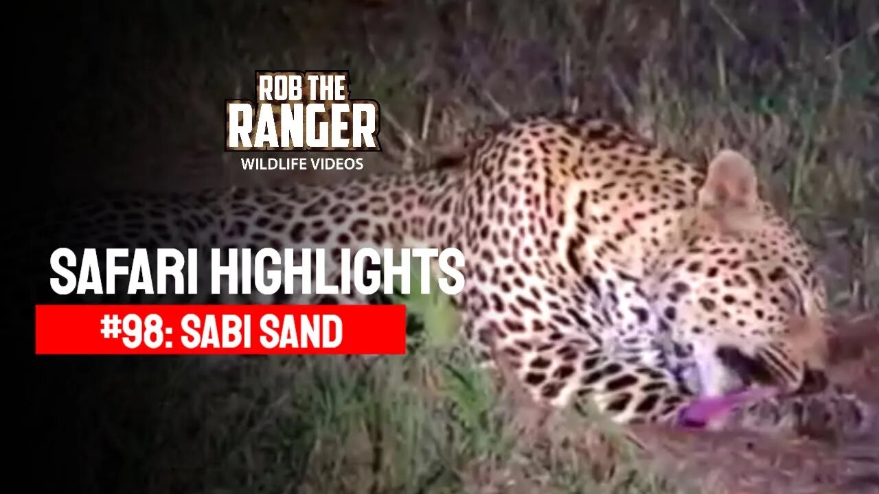 Safari Highlights #98: 27 - 30 May 2011 | Sabi Sand Nature Reserve | Latest Wildlife Sightings