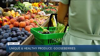 Your Healthy Family: 5 healthy produce items you've probably never heard of - Gooseberries