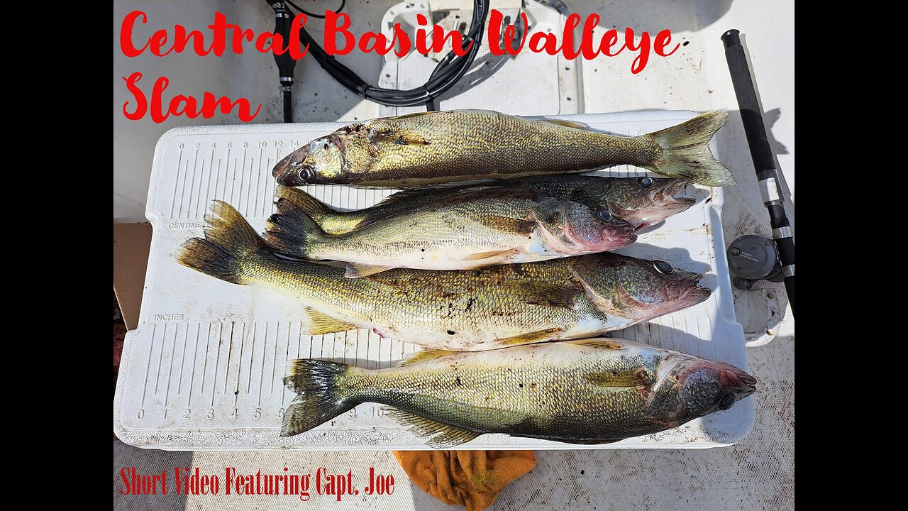 Central Basin Lake Erie Walleye