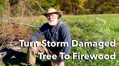 Converting Downed Pear Tree into Winter Heat