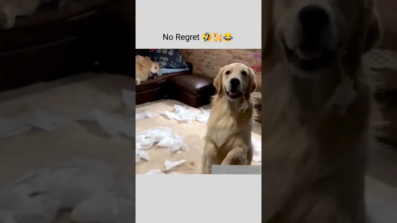 No regret 😂😝🤪