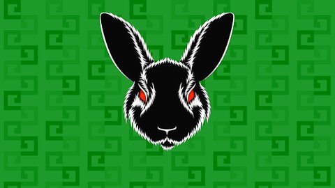 【검은토끼 팟캐스트 1편】 (2024-08-14)