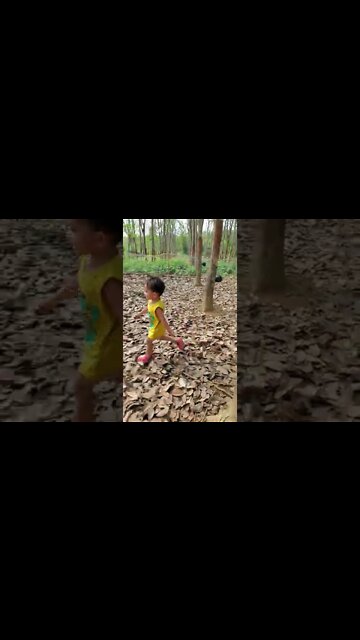 Baby Rounding Up the Ducks