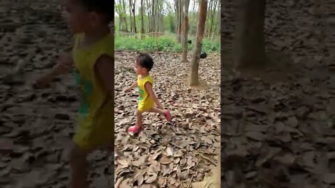 Baby Rounding Up the Ducks