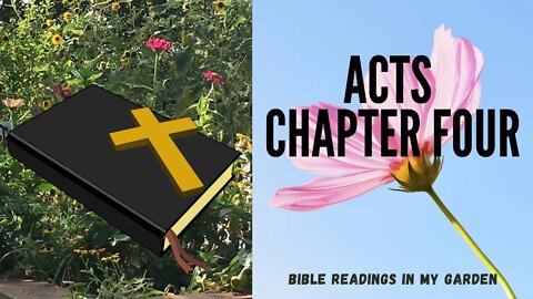 ACTS Chapter 4 | NRSV Bible