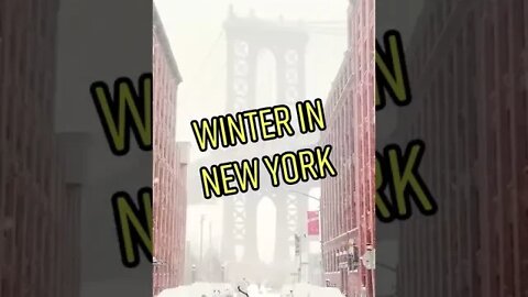 New York is arguably at its most picturesque state during winter! 📽 #shorts #fyp